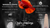 Remembrance Day Services in Centre Hastings November 2023